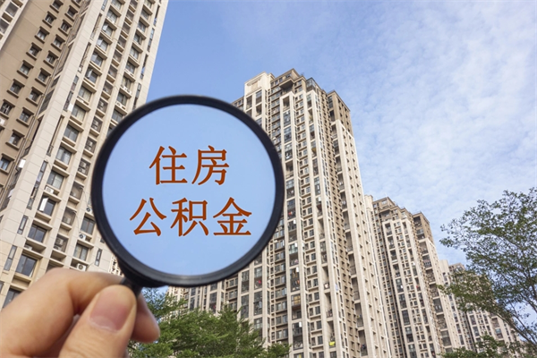 漯河查一下住房公积金怎么领取（市公积金怎么查询明细）